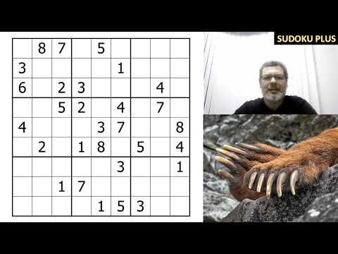Видео: И простое классическое судоку может быть красивым