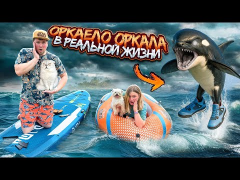 Видео: 24 ЧАСА В ЛОДКЕ НА ОЗЕРЕ ОРКАЛЕО ОРКАЛА С КОТОМ И СОБАКОЙ | ЗАКОЛДОВАННОЕ ОЗЕРО В РЕАЛЬНОЙ ЖИЗНИ