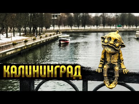 Видео: КАЛИНИНГРАД в ноябре. Первые впечатления