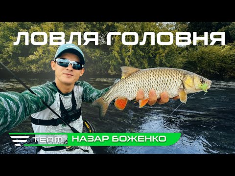 Видео: Де шукати рибу влітку? Ловля головня на блешні, воблери та силікон на річці Стрий.