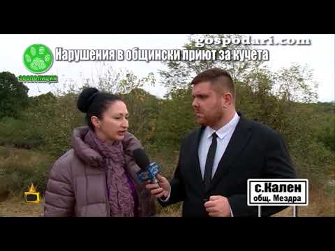 Видео: Приют на кошмарите: Озверели от глад кучета са оставени да се изяждат едно друго