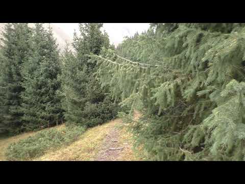 Видео: УЩЕЛЬЕ КРАСОТЫ И БОГАТСТВА-АК-ТУЗ со знаменитом  посёлком, ,КОТОРЫЙ НЕ ДАВНО ПОЯВИЛСЯ НА КАРТЕ,