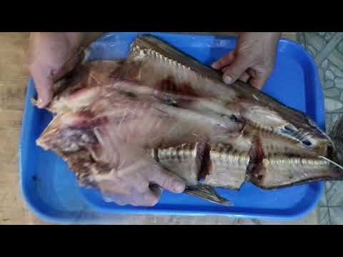 Видео: Балык из толстолобика!