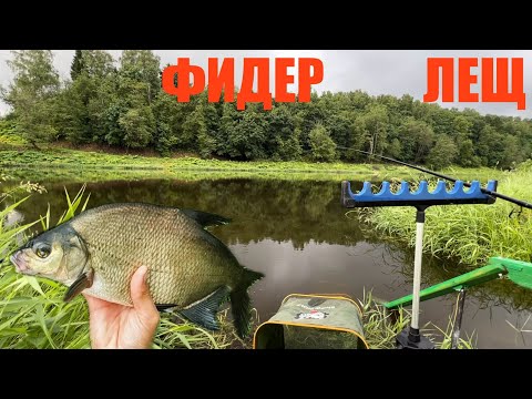 Видео: РЫБАЛКА НА ФИДЕР. КАК УГОВОРИТЬ ЛЕЩА НА ПОКЛЕВКУ. РЕКА. Эпичная концовка вышла)))