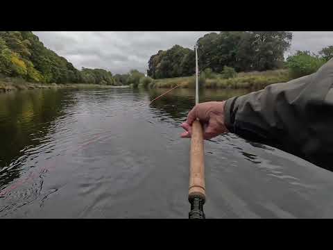 Видео: Ловля лосося в Среднем павильоне и как от него избавиться