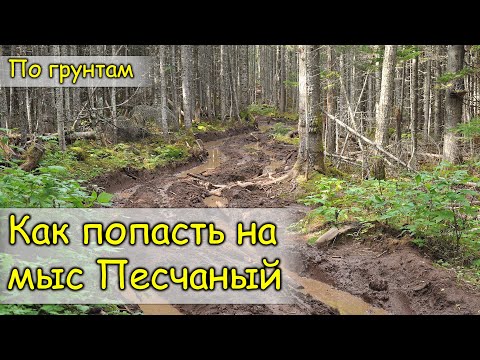 Видео: 2020. Дорога на мыс Песчаный. Советско-Гаванский район. На велосипеде.