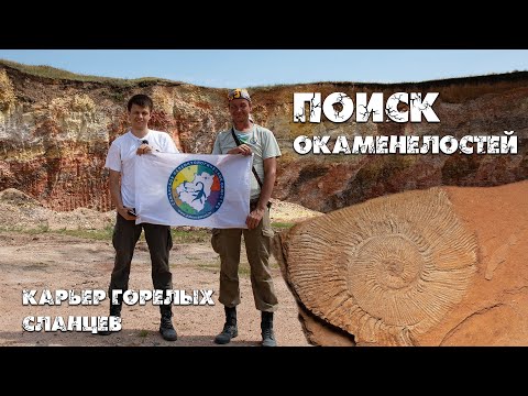 Видео: Искали МАМОНТА, а нашли ДРЕВНЕГО ЯЩЕРА| Палеоэкспедиция по МЕЗОЗОЮ и КАЙНОЗОЮ