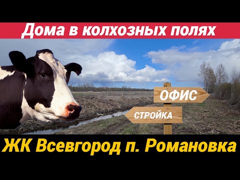 Видео: ЖК ВСЕВГОРОД | Современная жизнь у природы | Посёлок Романовка, Всеволожский район