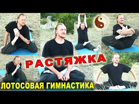 Видео: РАСТЯЖКА для тазобедренных суставов. Лотосовая гимнастика (ляньгун 蓮功). Тайцзи Ветер-Гром