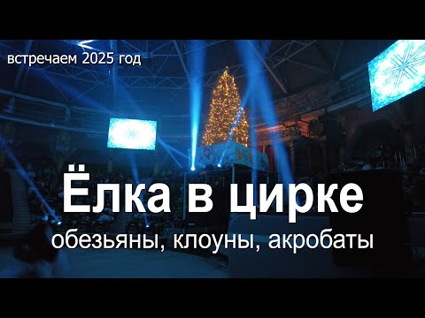 Видео: Ёлка в цирке Обезьяны, клоуны, акробаты