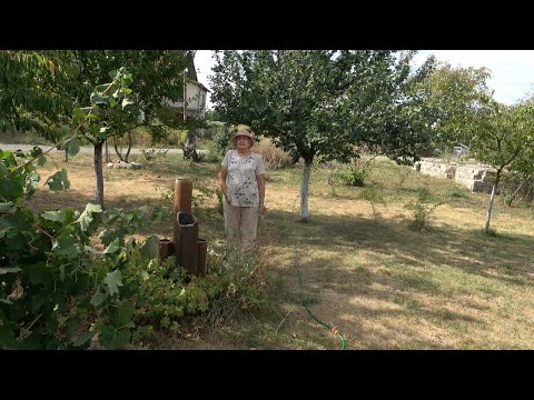 Видео: Епизод 45. Крушите в моята овощна градина.