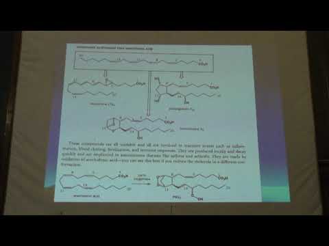 Видео: Лукашев Н. В. - Органическая химия. Часть 2 - 24. Липиды. Терпены. Стероиды