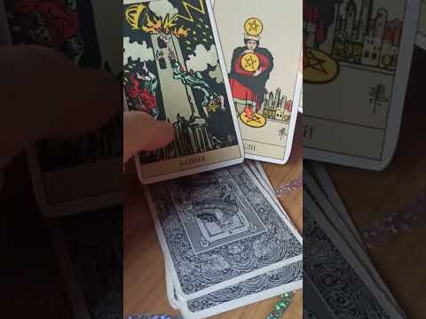 Видео: Состоится ли встреча в загаданный срок? 🤔🤔