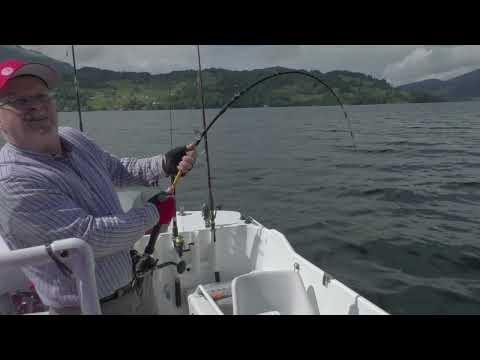 Видео: Ну и денёк... Палтус Скат Угорь.