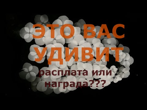 Видео: ЭТО вас удивит:💥💥💥  расплата или награда❗❓ Влияние родовой кармы. Кармический урок, что перестроить?