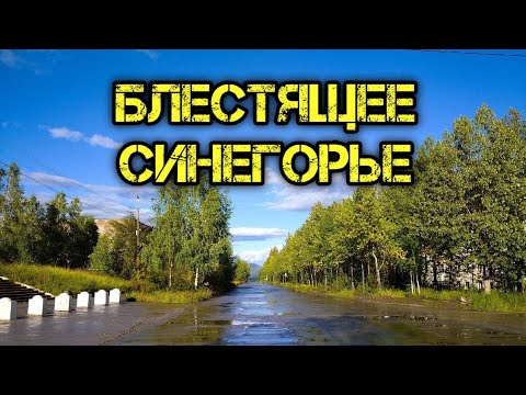 Видео: Блестящее Синегорье