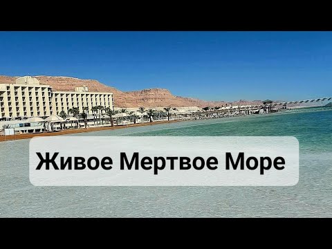 Видео: Живое Мертвое Море/Dead Sea#отдых #путешествия #israel#naturebeauty
