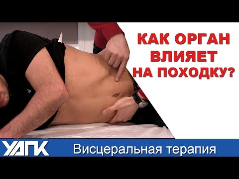 Видео: КАК ОРГАН влияет на походку?