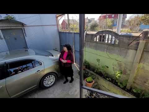 Видео: СУПЕР!!! ЦЕНА!!! за 2 ДОМА ! Райское место г.Кобулети!