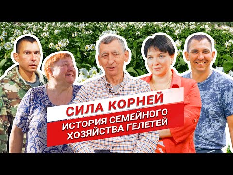 Видео: История семейного хозяйства КФХ Гелетей | Бизнес на картофеле | Овощеводство | Сила корней