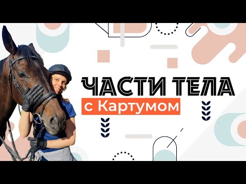 Видео: Сербский язык. Части тела.