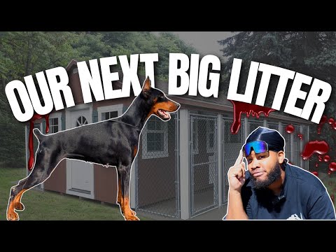 Видео: У ВСЕХ НАШИХ САМОК ТЕЧКА 🤯