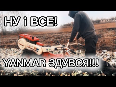 Видео: Серйозна поломка японського мотоблока! 2-й раз фрезою по капусті! Yanmar YH80