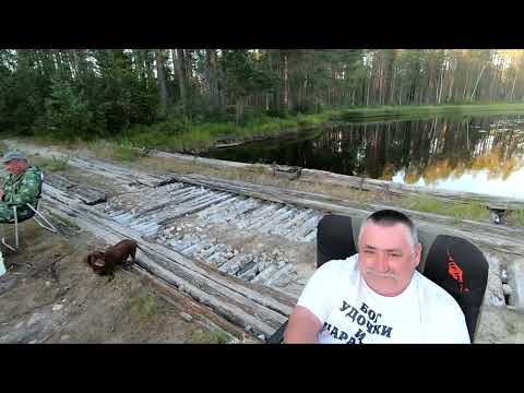Видео: Рыбалка на таёжных озёрах в Карелии
