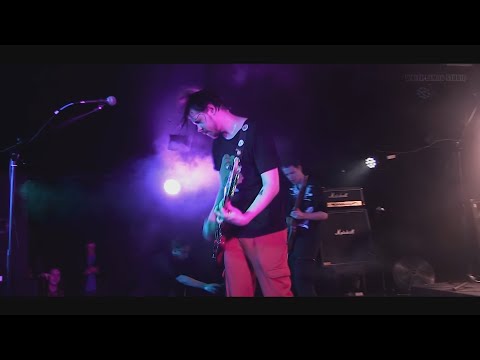 Видео: ЖЩ - концерт в Санкт-Петербурге 22.04.2022