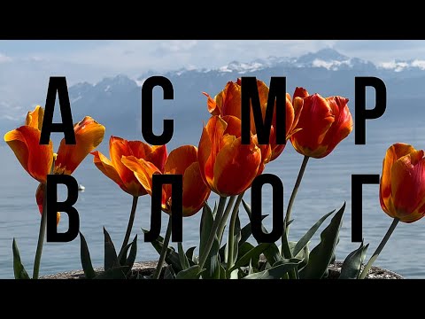 Видео: АСМР ВЛОГ | Весна в Швейцарии