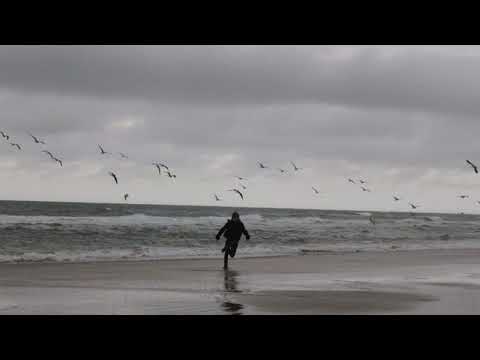 Видео: Артем Пивоваров - Собирай Меня(𝘀𝗹𝗼𝘄𝗲𝗱 𝗱𝗼𝘄𝗻)