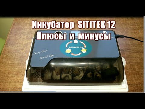 Видео: 314_Инкубатор  китайский SITITEK 12. Плюсы и минусы.