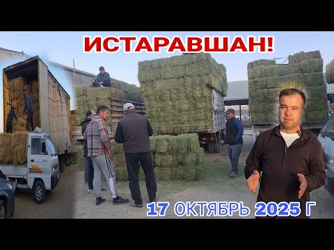 Видео: ИСТАРАВШАН! РАФТАМ НАРХОИ ПРЕСХО  АРЗОН...😱 #rek #khujand #rekomendasi 