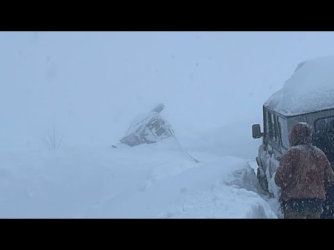 Видео: Выжившие