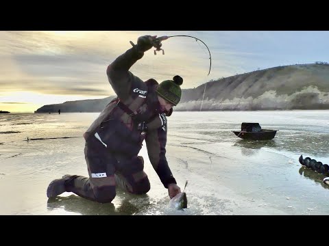 Видео: Матёрые СУДАКИ с трудом входят В ЛУНКУ! ПЕРВЫЙ ЛЁД на реке ДОН