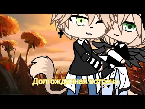 Видео: "Долгожданная встреча" 3 сезон 10/10(финал)