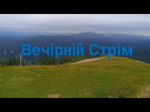Видео: Стрім у соснах
