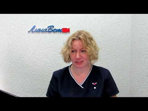 Видео: Royal Canin дал ответ. Какие корма нельзя покупать.