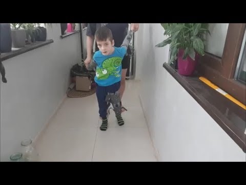 Видео: VLOG Ярослав Удваиваем тренировки | Эффективное лечение ДЦП | Диспорт Спастический тетрапарез