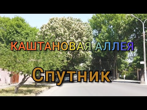 Видео: Каштановая аллея/Спутник/Сергелийский район