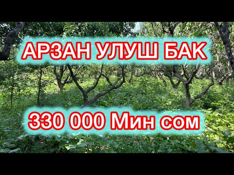 Видео: Арзан УЛУШ БАК САТЫЛАТ☎️0553828379