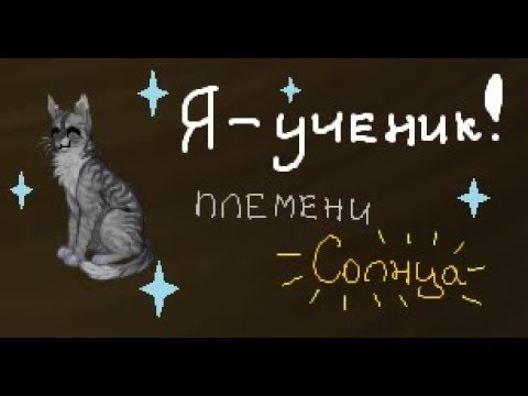Видео: ПОСВЯЩЕНИЕ в УЧЕНИКИ в СОЛНЫШКЕ))))