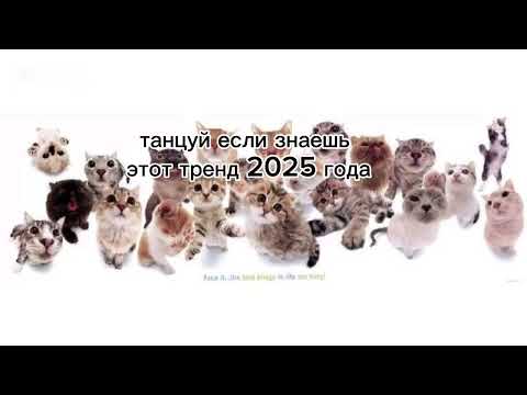 Видео: 23 августа 2025 г.