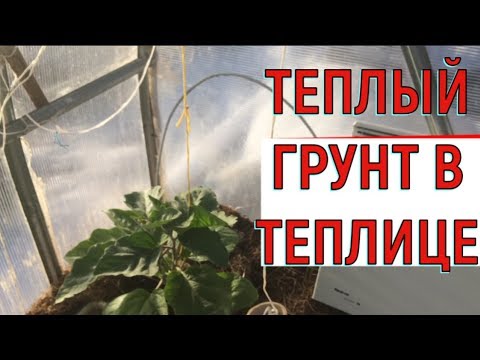 Видео: Теплые грядки  Прогреваем грунт в теплице