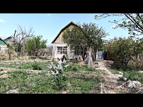 Видео: Купил старую дачу | уборка во дворе.