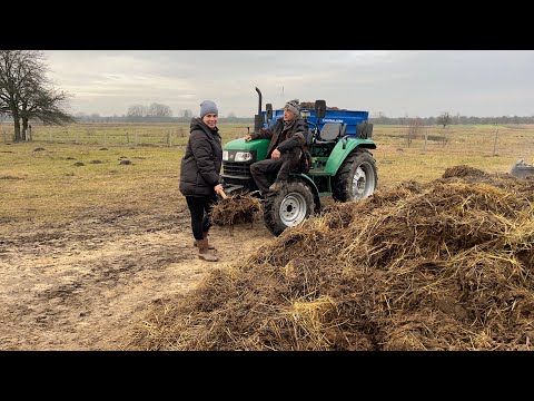 Видео: Премія від бичків! Органічне добриво для землі! Відгодівля!