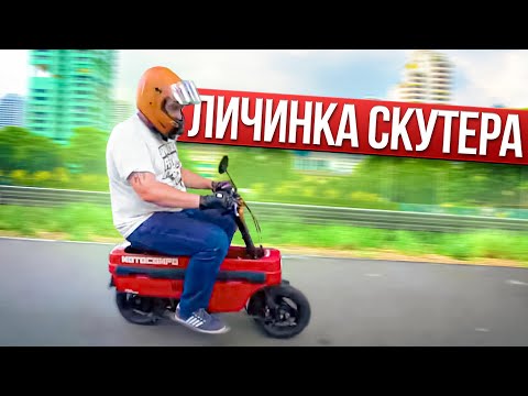 Видео: Хотели сделать самокат?! Honda Motocompo: самый крохотный байк на моем канале #МОТОЗОНА №159