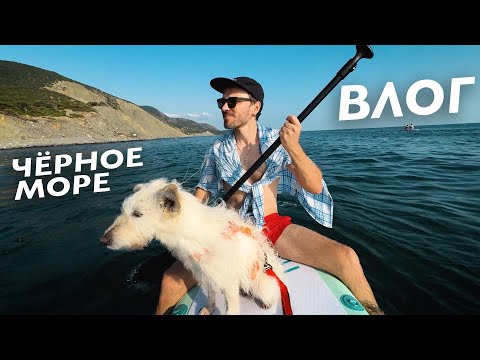Видео: ПЛАВАЕМ НА САПЕ НА ЧЕРНОМ МОРЕ / СУККО / БОЛЬШОЙ УТРИШ / ВЛОГ