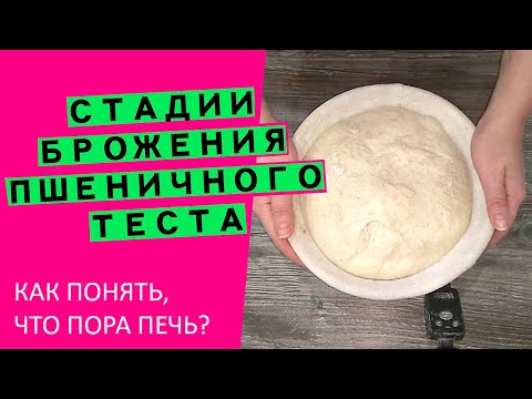 Видео: Стадии🍞 брожения пшеничного теста: как😲😲 определить, что пора⌛ печь?