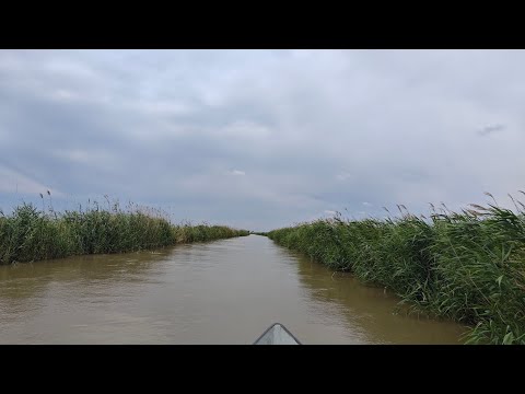 Видео: Удар молнии на среднем канале Сом на пиявку